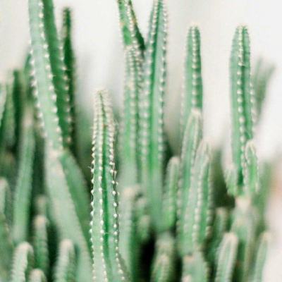 金沙乐娱场app下载